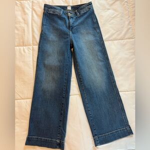 GAP High Rise Wide-Leg Crop Jeans Size 0/25